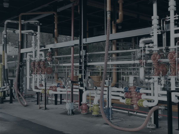 Meeting High Expectations